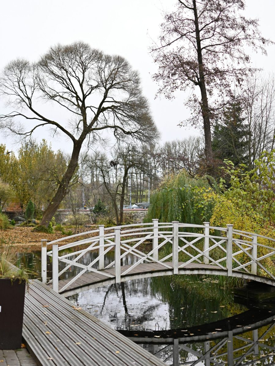 vladyslav-melnyk-p6b28H4jwaM-unsplash